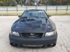 Lot #2986164177 2004 FORD MUSTANG GT