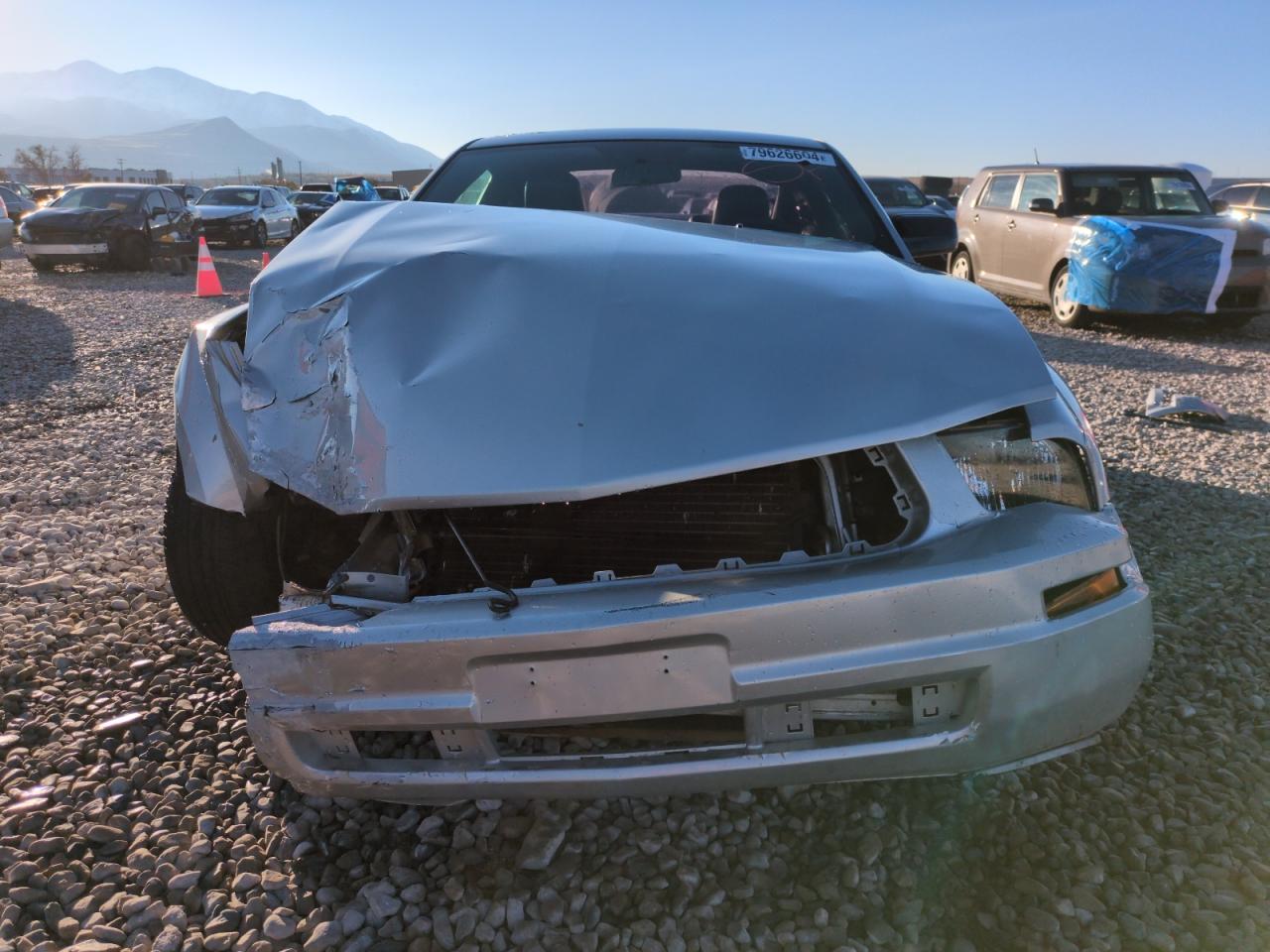 Lot #2987055506 2005 FORD MUSTANG