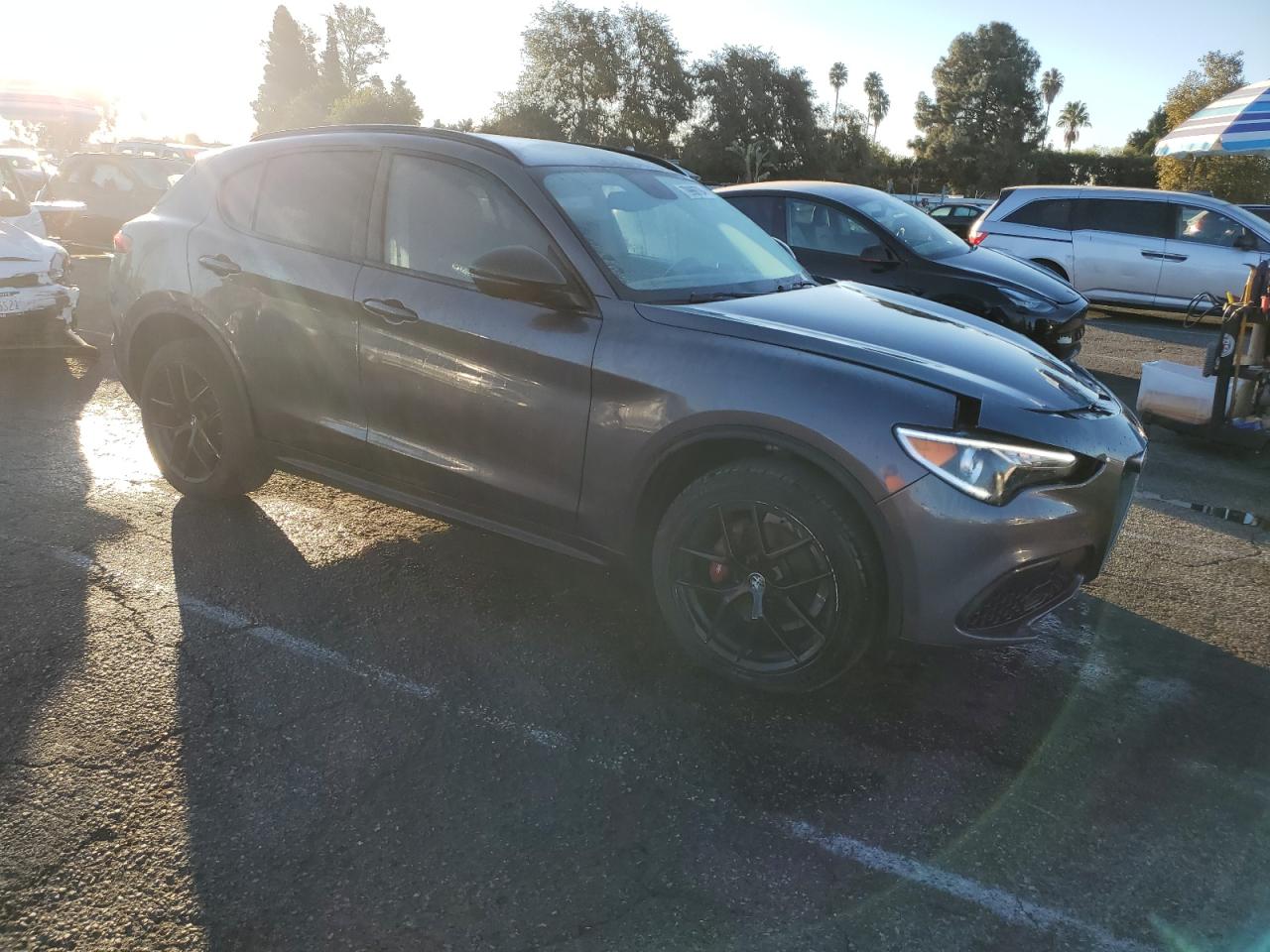 Lot #3041781437 2019 ALFA ROMEO STELVIO