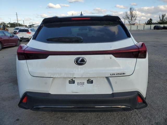 VIN JTHB6JBH6R2186160 2024 LEXUS UX 250H BA no.6