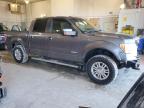 Lot #3006905668 2012 FORD F150 SUPER