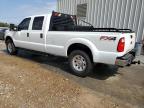 Lot #2957486408 2015 FORD F250 SUPER