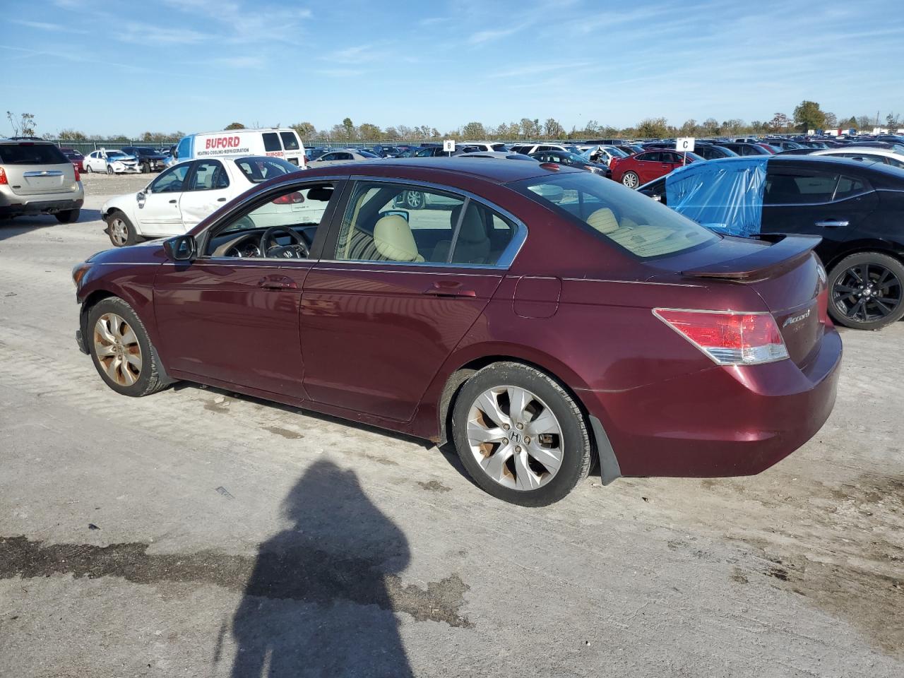 Lot #3019559752 2010 HONDA ACCORD EXL