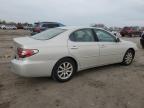 LEXUS ES 300 photo