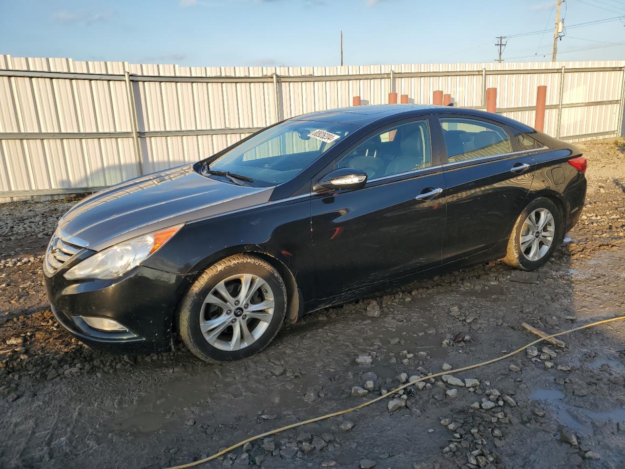 Lot #2986837228 2011 HYUNDAI SONATA SE