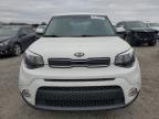 Lot #3033161189 2019 KIA SOUL +