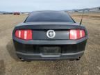 Lot #3025183245 2010 FORD MUSTANG