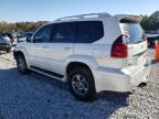 Lot #3024020233 2009 LEXUS GX 470