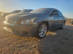 NISSAN MAXIMA S photo