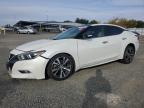 2016 NISSAN MAXIMA 3.5 - 1N4AA6AP3GC378263