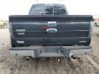 Lot #3027165310 2013 FORD F150 SUPER