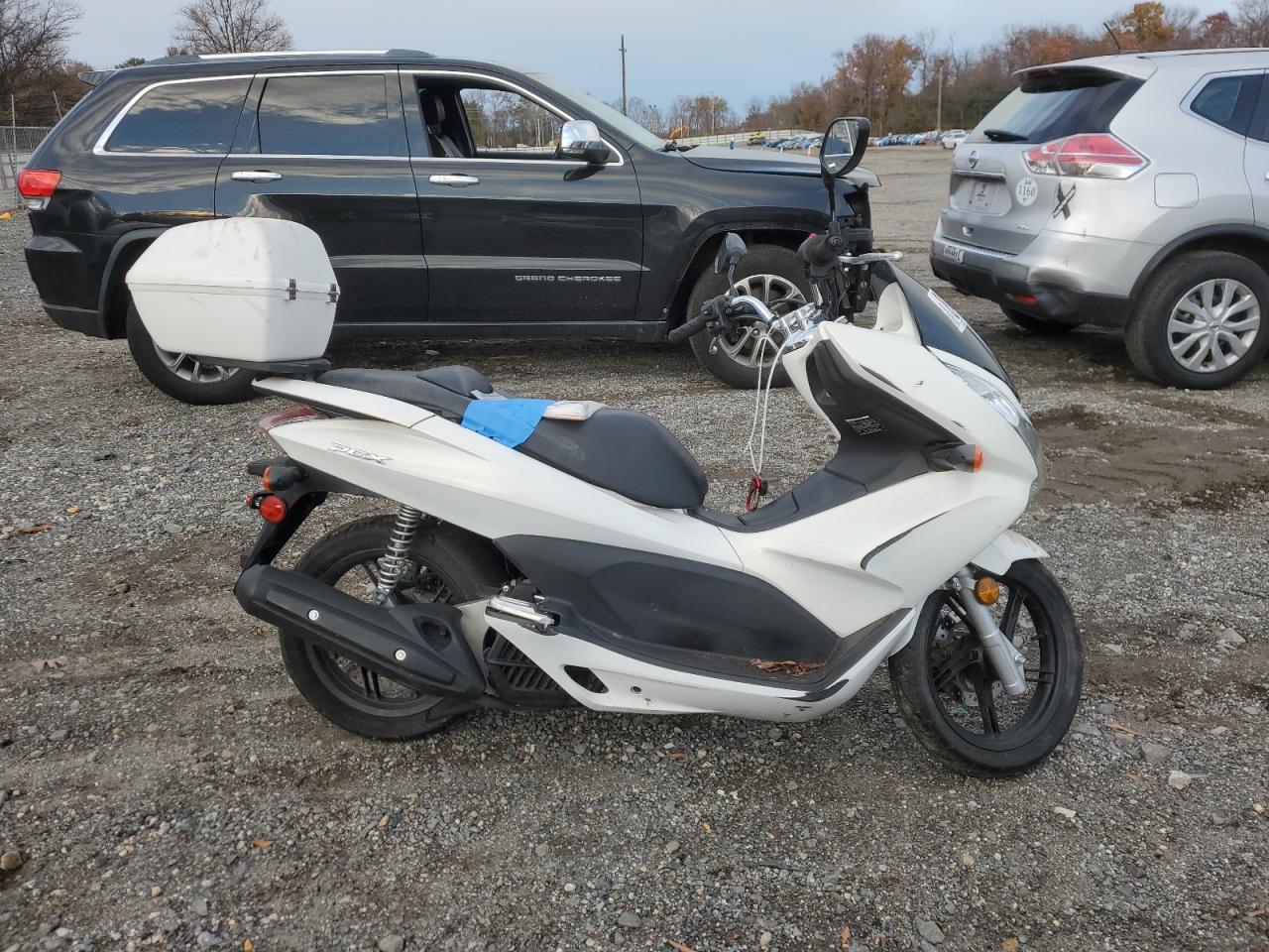 Lot #3049639207 2011 HONDA PCX