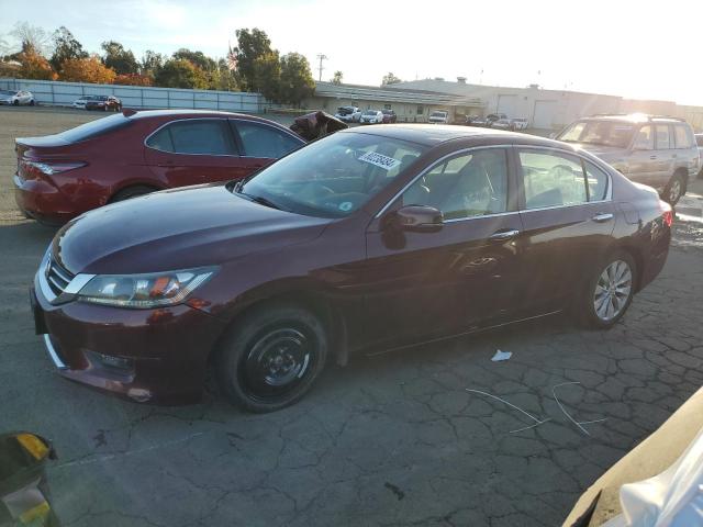 VIN 1HGCR2F81EA163545 2014 Honda Accord, Exl no.1