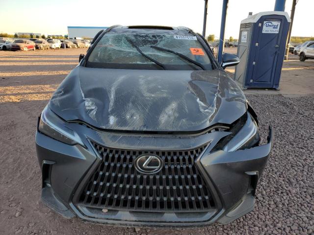 2023 LEXUS NX 350 2T2AGCEZ7PC029449
