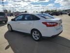 Lot #2961875216 2014 FORD FOCUS SE