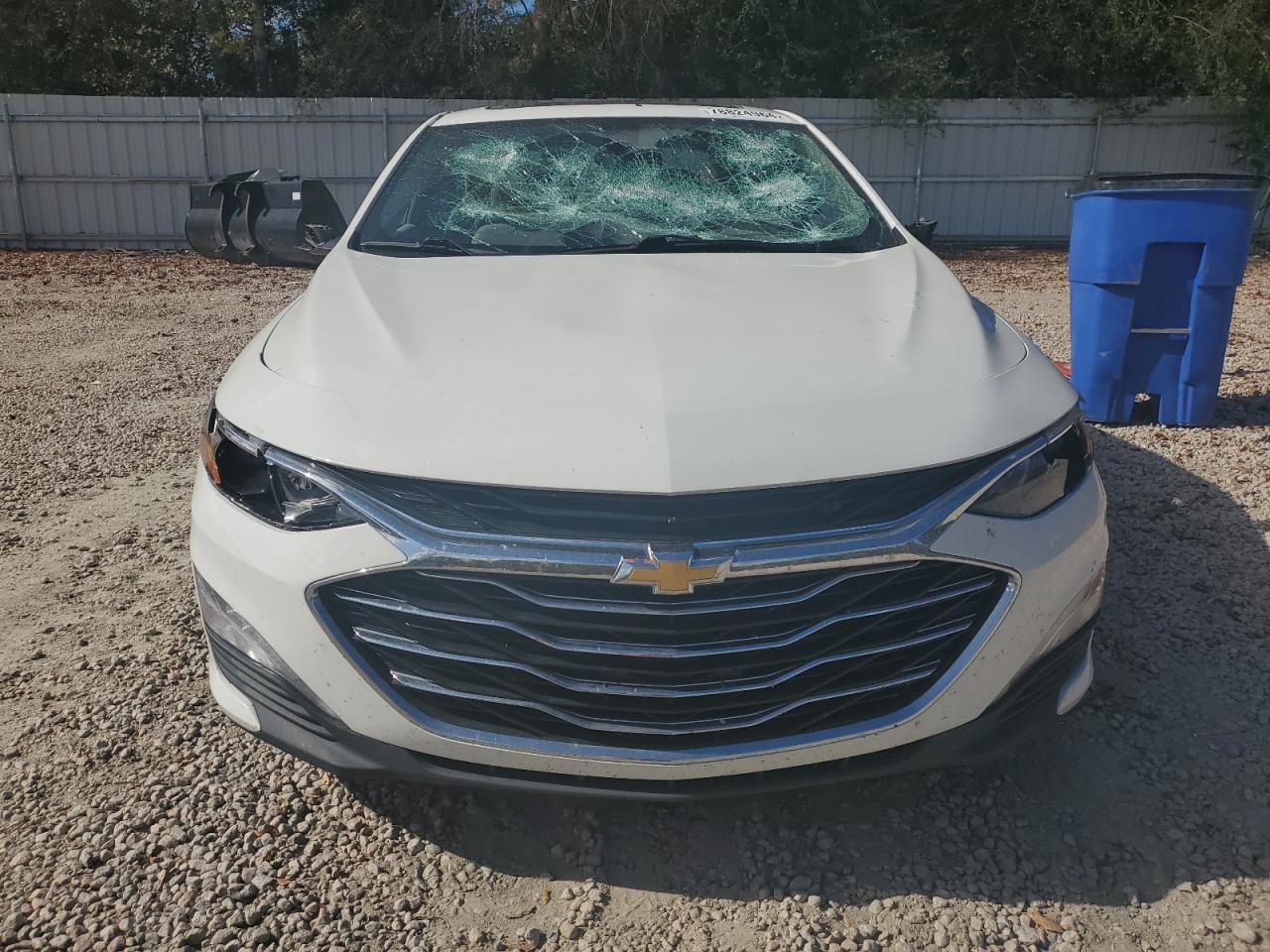 Lot #3022527074 2019 CHEVROLET MALIBU LT