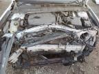 Lot #3024645635 2014 FORD FUSION SE