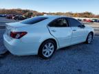 Lot #3021148400 2009 LEXUS ES 350