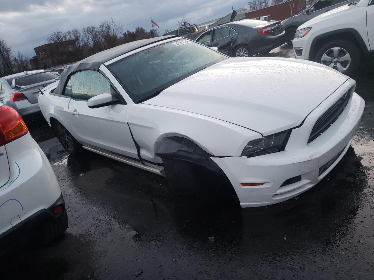 Lot #3034279151 2013 FORD MUSTANG