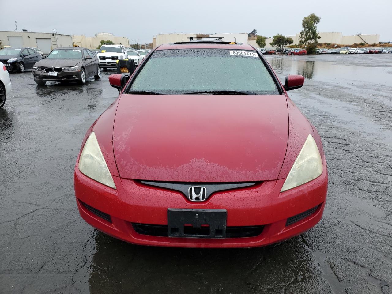 Lot #2988600299 2004 HONDA ACCORD EX