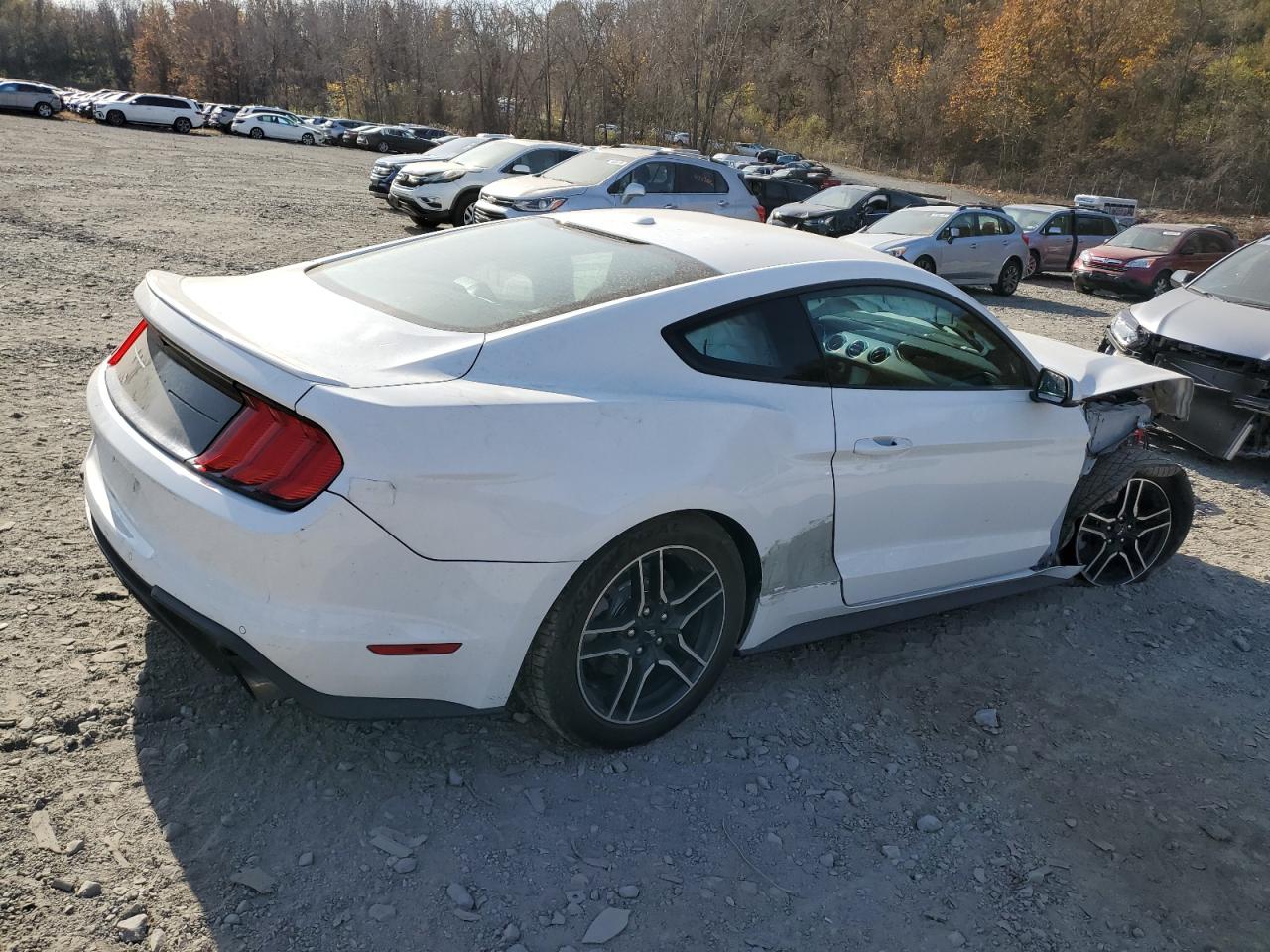 Lot #2954649408 2020 FORD MUSTANG