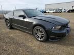 Lot #3025183245 2010 FORD MUSTANG