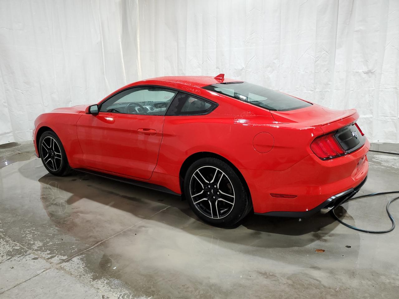 Lot #2988749658 2023 FORD MUSTANG