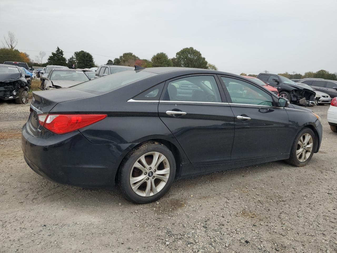 Lot #2952735201 2013 HYUNDAI SONATA SE