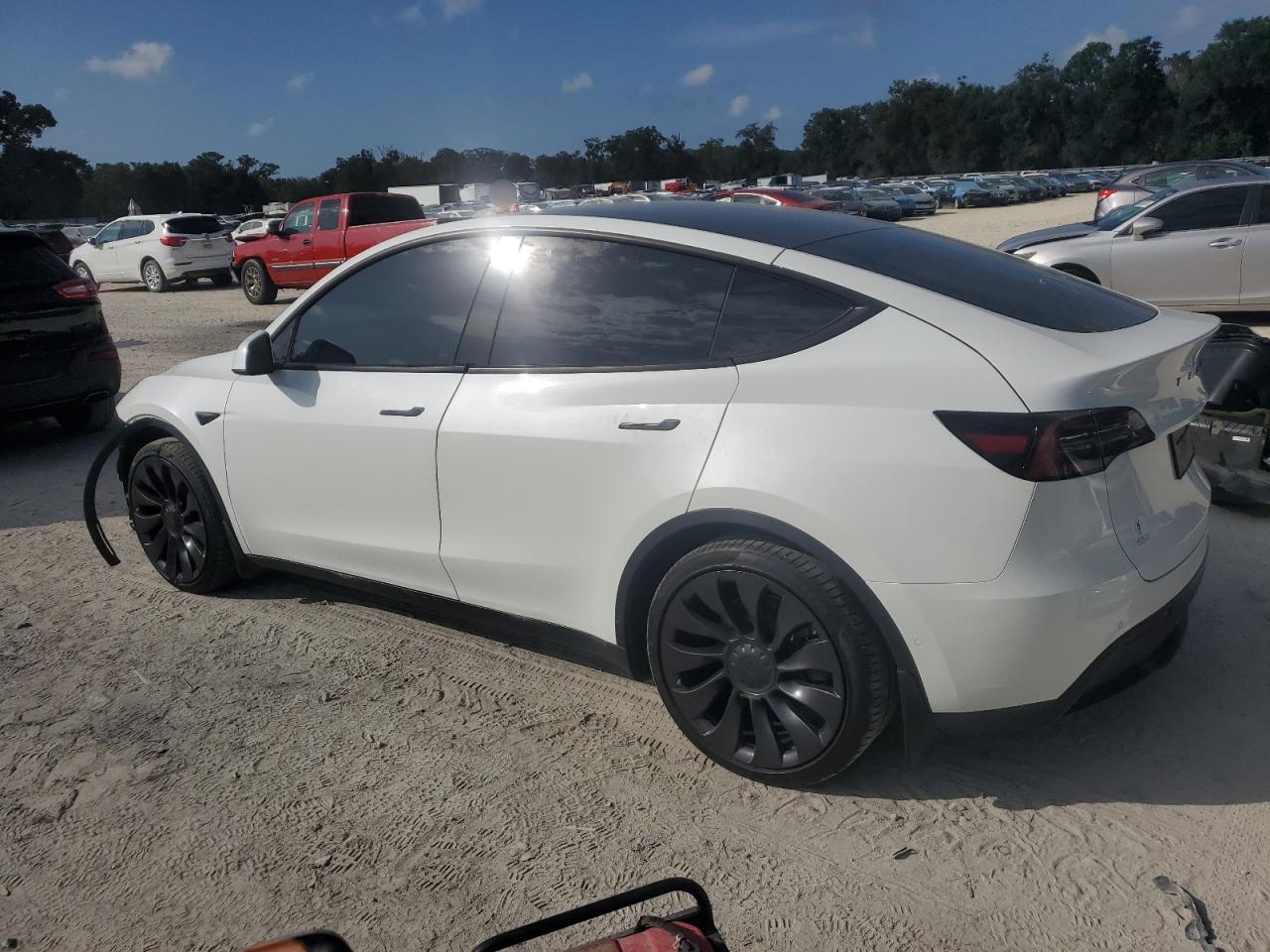 Lot #2977011597 2021 TESLA MODEL Y