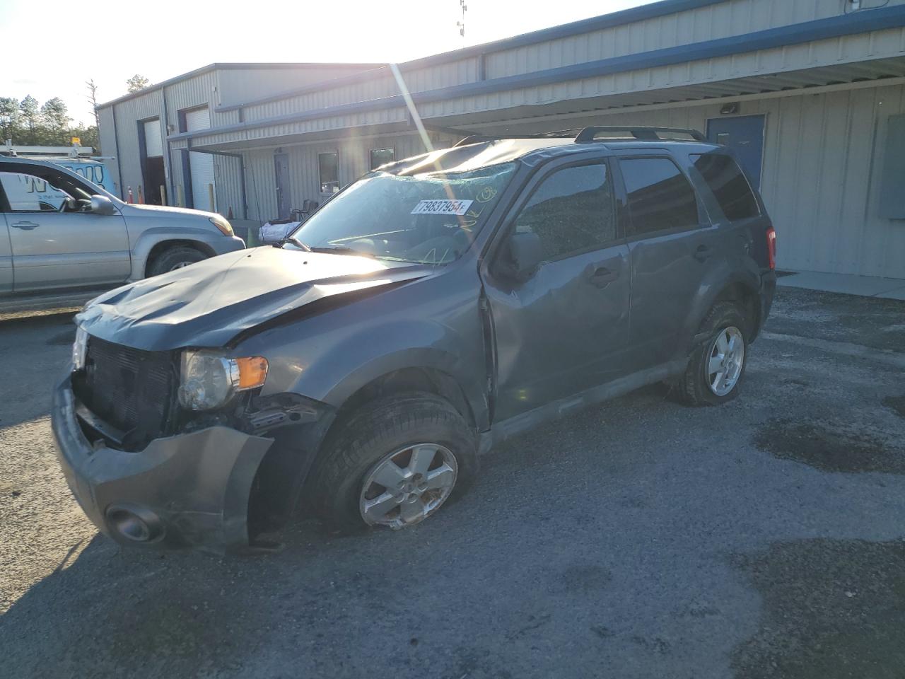 Lot #2994019325 2010 FORD ESCAPE XLS