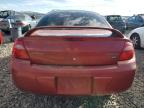 Lot #3023777887 2003 DODGE NEON SXT