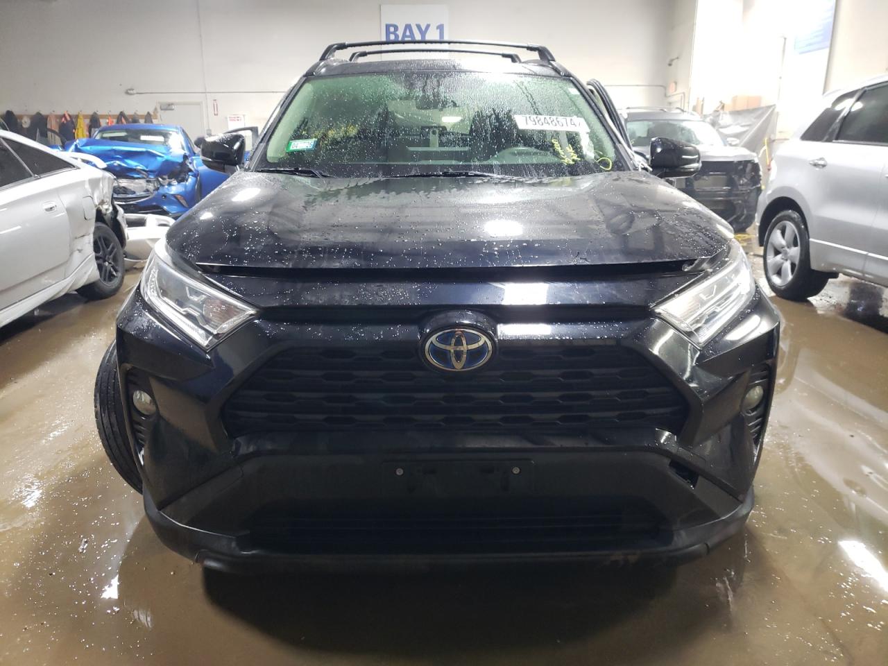 Lot #3023383257 2019 TOYOTA RAV4 XLE