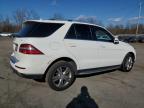 MERCEDES-BENZ ML 350 4MA photo