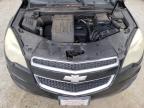 CHEVROLET EQUINOX LS photo