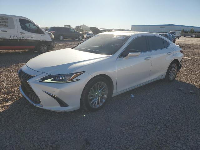 2019 LEXUS ES 300H #3024316081