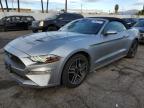 Lot #3024604652 2023 FORD MUSTANG