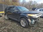 Lot #3023916266 2013 FORD EXPLORER X