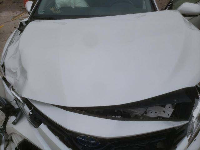 2020 TOYOTA CAMRY XLE - 4T1F31AKXLU538429