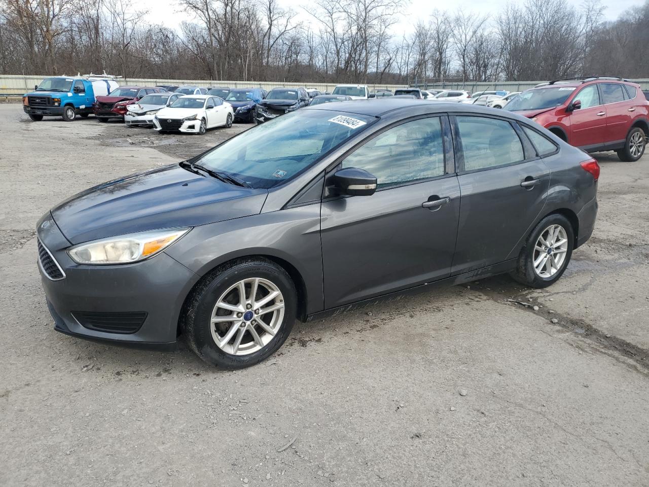 Lot #3034282187 2016 FORD FOCUS SE