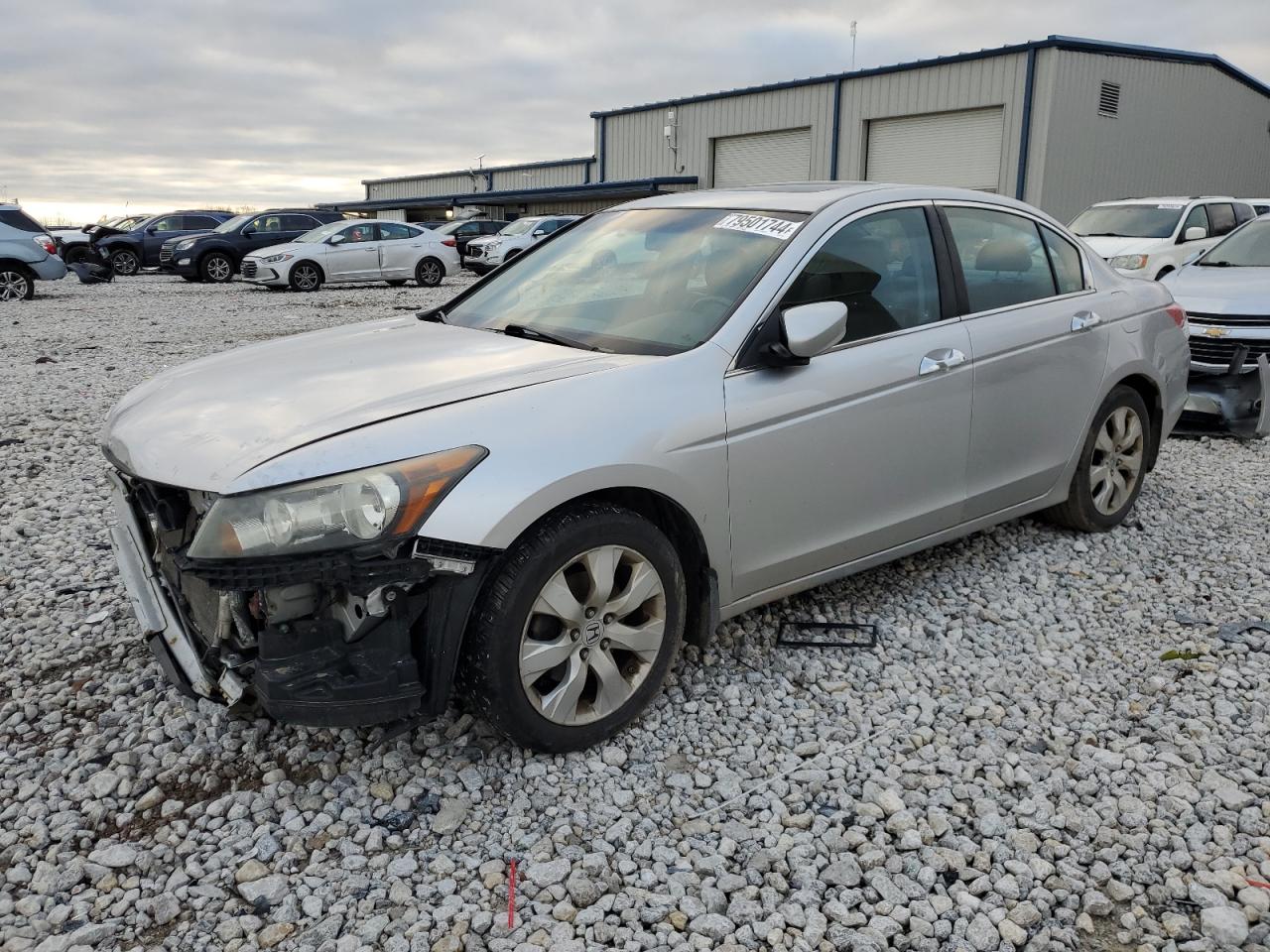 Lot #3005317031 2009 HONDA ACCORD EXL