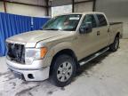 Lot #3023433255 2010 FORD F150 SUPER