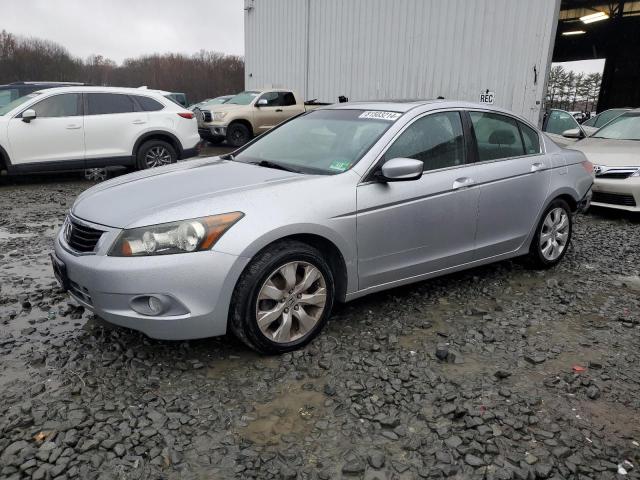 2010 HONDA ACCORD EXL #3008598947