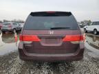 HONDA ODYSSEY EX photo