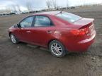 KIA FORTE EX photo