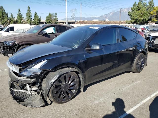 TESLA MODEL Y 2023 black  electric 7SAYGDEF8PF642581 photo #1