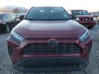 Lot #3024973159 2020 TOYOTA RAV4 LE