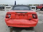 Lot #3023691892 2000 FORD MUSTANG