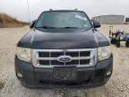 Lot #2999654603 2011 FORD ESCAPE XLT