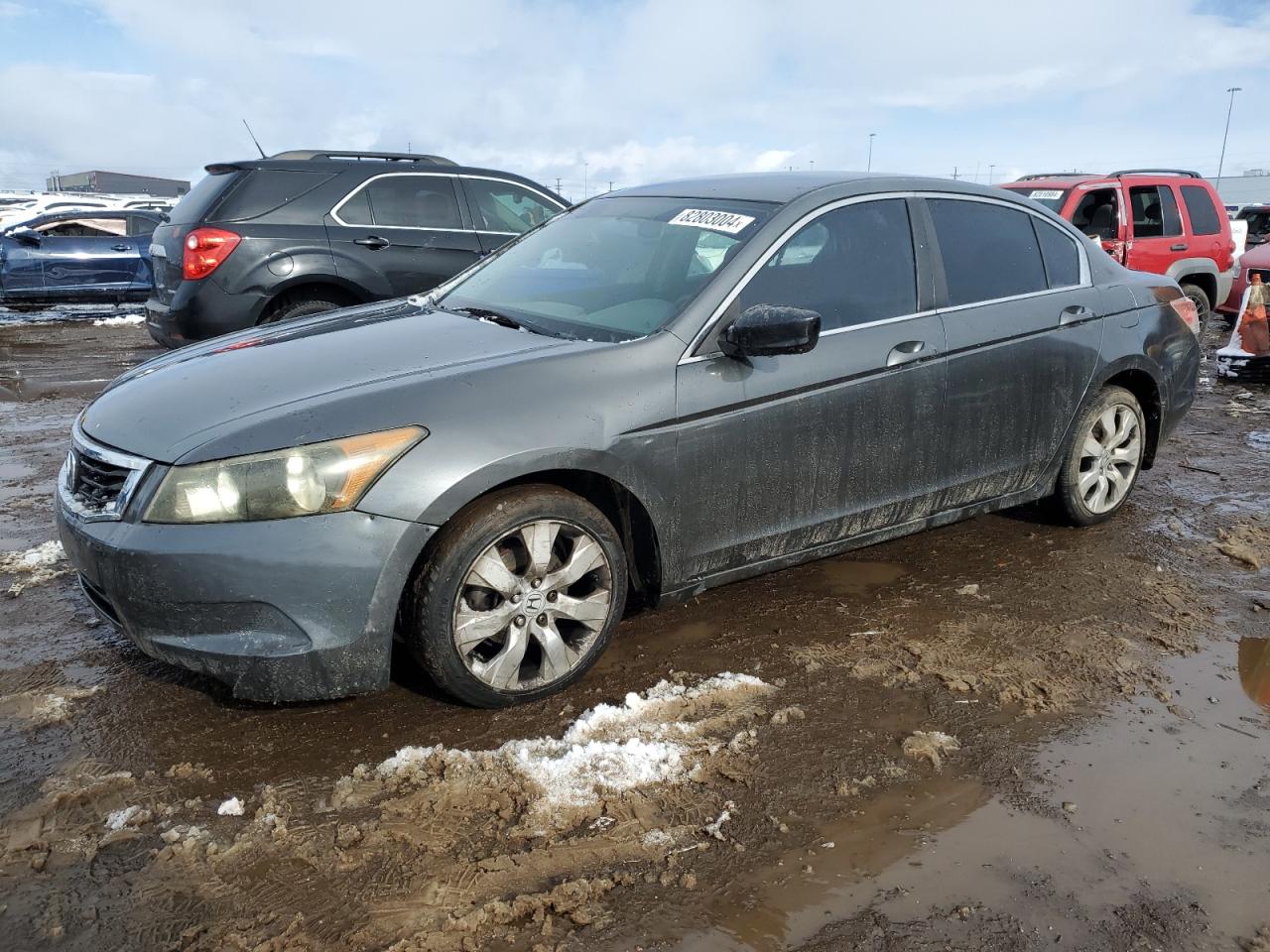 Lot #3034326064 2010 HONDA ACCORD LXP