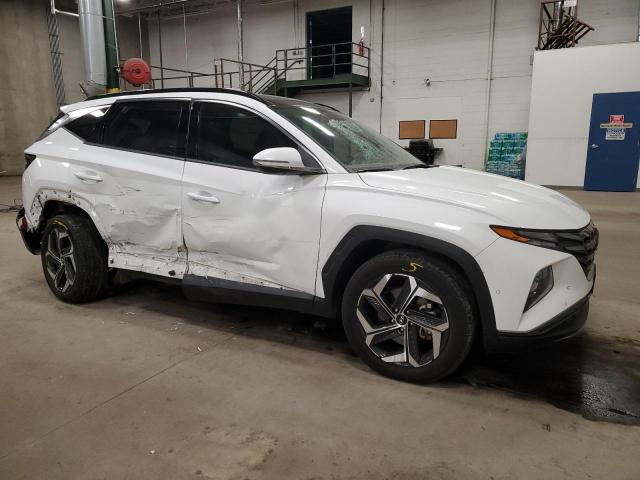 2023 HYUNDAI TUCSON LIM - 5NMJECAE8PH174751